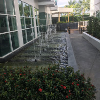 фото из отзыва ID 1705423