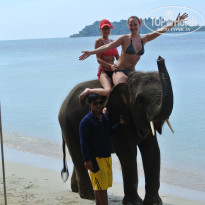 фото из отзыва ID 1705460