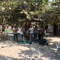 фото из отзыва ID 1705471