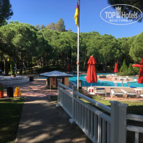 фото из отзыва ID 1705473