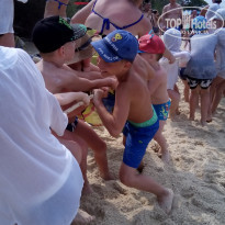 фото из отзыва ID 1705575