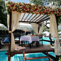 фото из отзыва ID 1705582