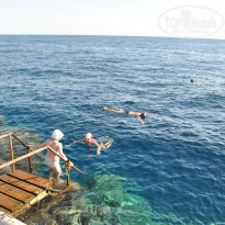 фото из отзыва ID 1705594