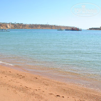 фото из отзыва ID 1705594