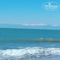 фото из отзыва ID 1705690