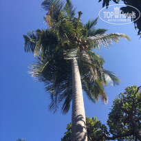 фото из отзыва ID 1705694