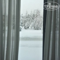 фото из отзыва ID 1705738