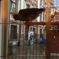 фото из отзыва ID 1705781