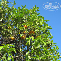 фото из отзыва ID 1705867