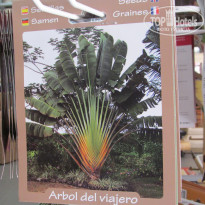 фото из отзыва ID 1705867