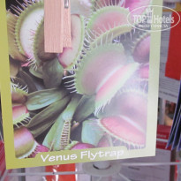 фото из отзыва ID 1705867