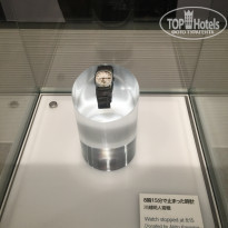 фото из отзыва ID 1705878