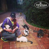 фото из отзыва ID 1705882