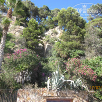 фото из отзыва ID 1705908