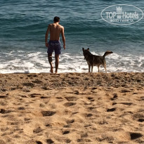 фото из отзыва ID 1705924