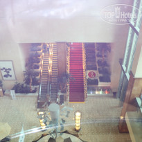 фото из отзыва ID 1705928