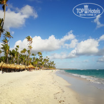 фото из отзыва ID 1705968