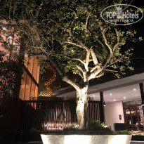 фото из отзыва ID 1706100