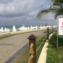 фото из отзыва ID 1706135