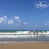 фото из отзыва ID 1706135