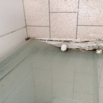 фото из отзыва ID 1706141