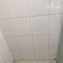 фото из отзыва ID 1706141