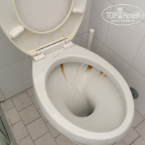 фото из отзыва ID 1706141