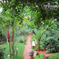 фото из отзыва ID 1706165