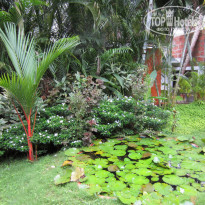 фото из отзыва ID 1706165