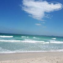 фото из отзыва ID 1705792