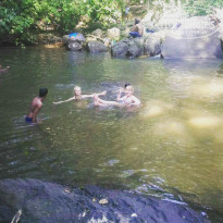 фото из отзыва ID 1706035