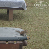 фото из отзыва ID 1706217