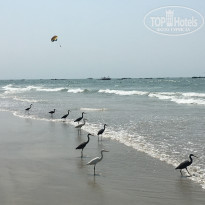 фото из отзыва ID 1706335