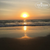 фото из отзыва ID 1706335