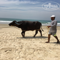 фото из отзыва ID 1706335