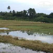 фото из отзыва ID 1706335