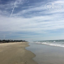 фото из отзыва ID 1706335