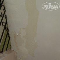 фото из отзыва ID 1706443