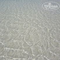 фото из отзыва ID 1706478