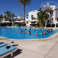 фото из отзыва ID 1706499