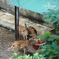 фото из отзыва ID 1706575