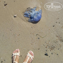 фото из отзыва ID 1706599