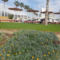 фото из отзыва ID 1706600