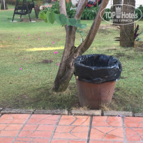 фото из отзыва ID 1706677