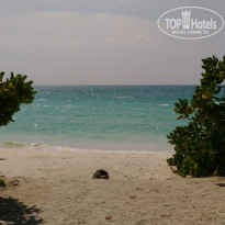 фото из отзыва ID 1706704