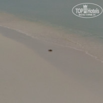 фото из отзыва ID 1706704