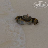 фото из отзыва ID 1706704