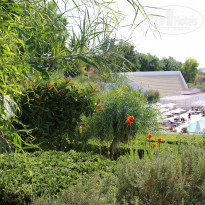 фото из отзыва ID 1706785