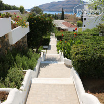 фото из отзыва ID 1706785