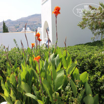 фото из отзыва ID 1706785